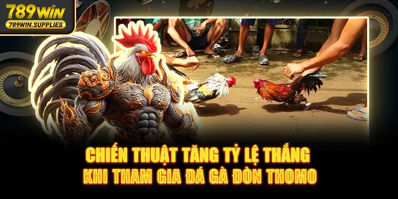 Chiến thuật tăng tỷ lệ thắng khi tham gia đá gà đòn ở Thomo