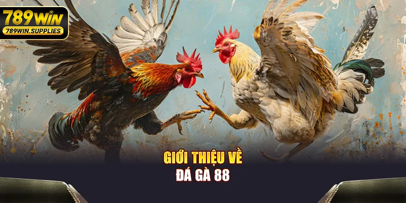 Giới thiệu về đá gà 88