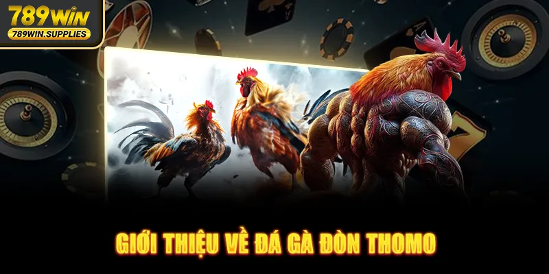 Giới thiệu về đá gà đòn thomo