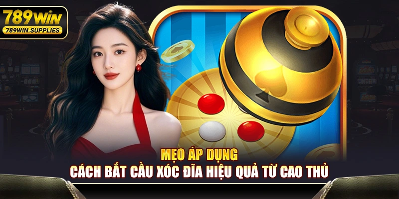 Mẹo áp dụng cách bắt cầu xóc đĩa hiệu quả từ cao thủ