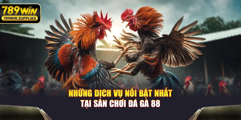 Những dịch vụ nổi bật nhất tại sân chơi daga88