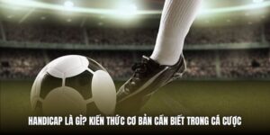 Handicap Là Gì? Kiến Thức Cơ Bản Cần Biết Trong Cá Cược