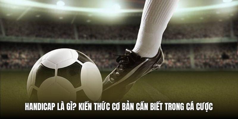 Handicap Là Gì? Kiến Thức Cơ Bản Cần Biết Trong Cá Cược