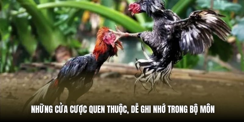 Những cửa cược quen thuộc, dễ ghi nhớ trong bộ môn