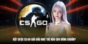 Đặt Cược CSGO Giải Đấu Như Thế Nào Cho Đúng Chuẩn?
