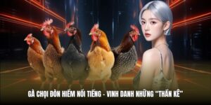 Gà Chọi Đòn Hiểm Nổi Tiếng | Vinh Danh Những “Thần Kê”